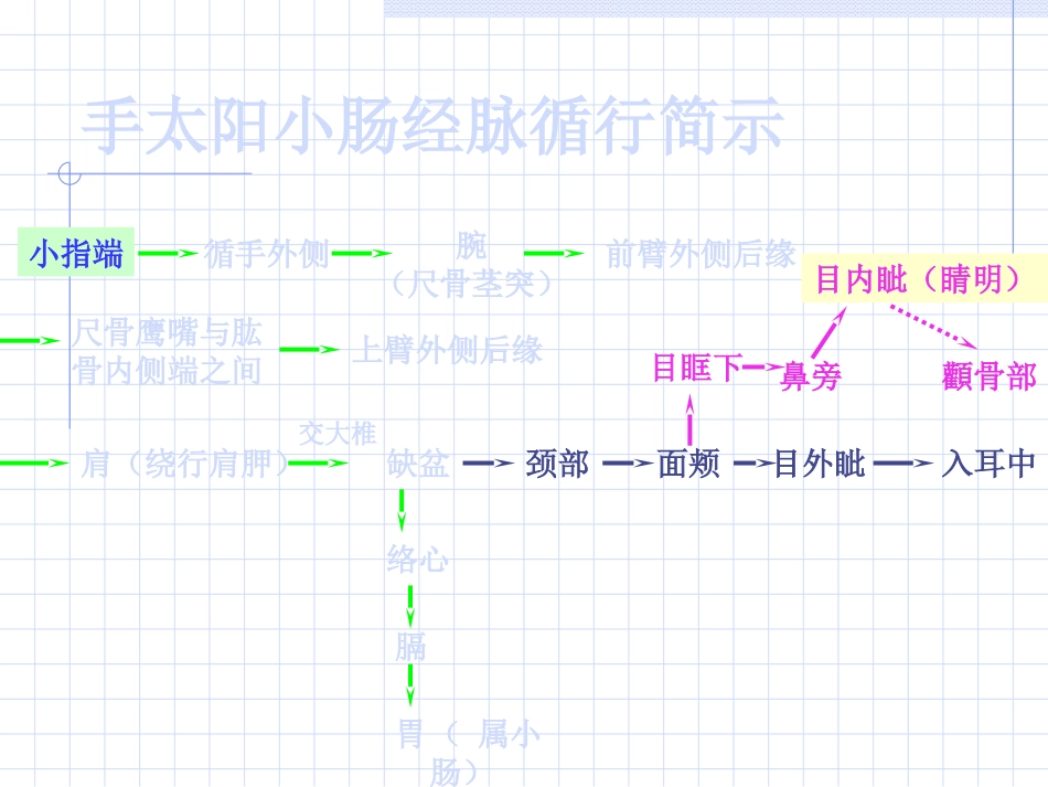 人体经络穴位图谱6小肠经_第3页