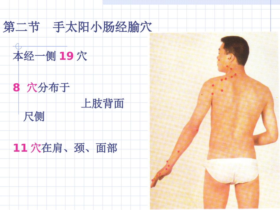 人体经络穴位图谱6小肠经_第6页