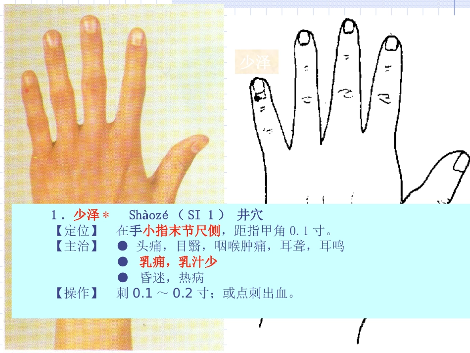 人体经络穴位图谱6小肠经_第7页