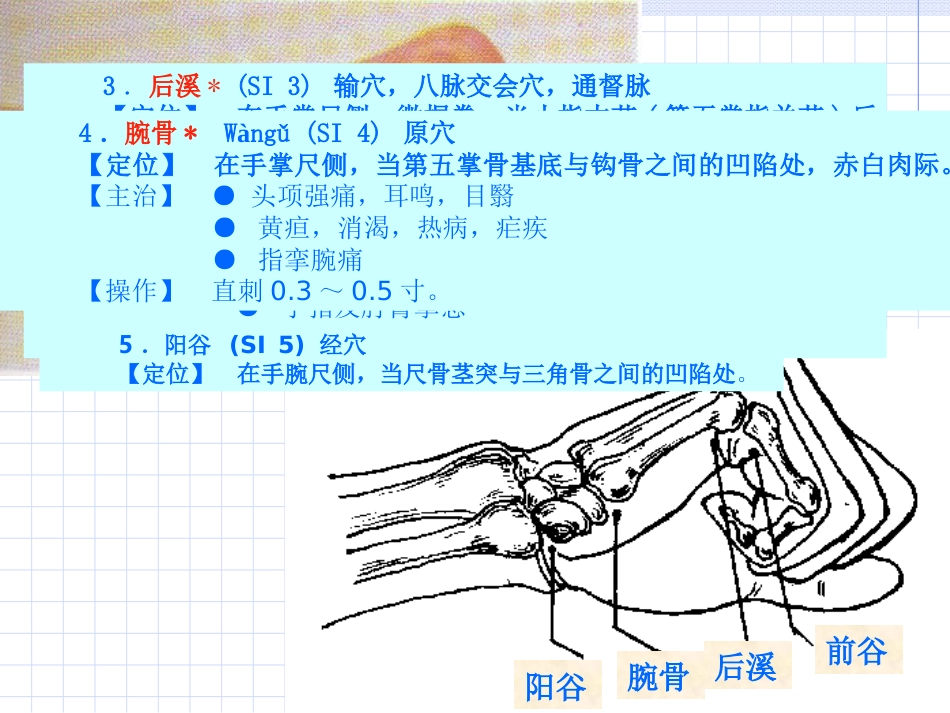 人体经络穴位图谱6小肠经_第8页