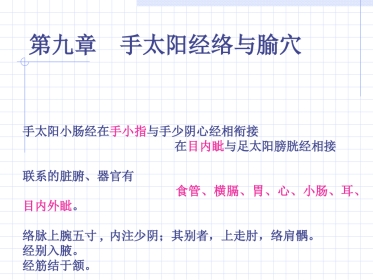 人体经络穴位图谱6小肠经