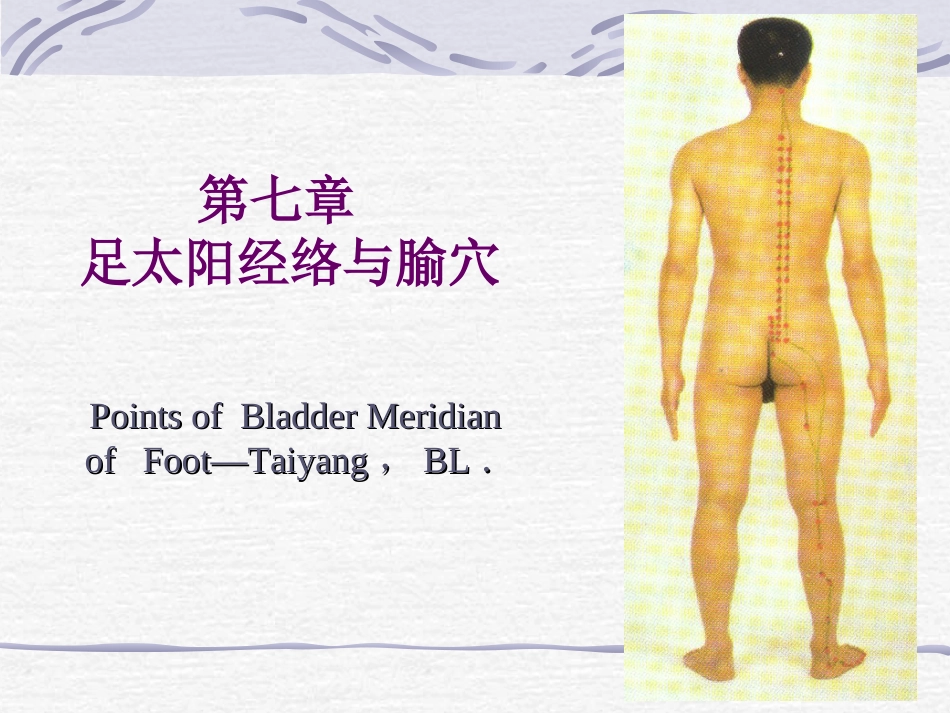 人体经络穴位图谱7膀胱经_第1页