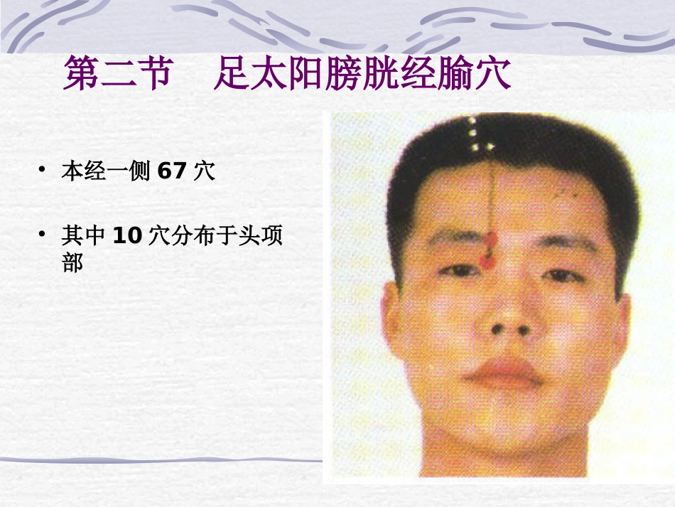 人体经络穴位图谱7膀胱经_第10页