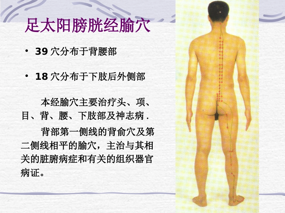 人体经络穴位图谱7膀胱经_第11页