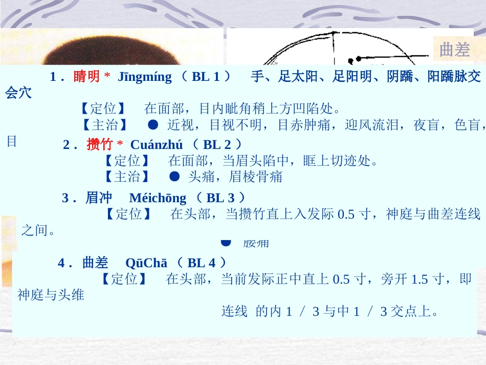 人体经络穴位图谱7膀胱经_第12页