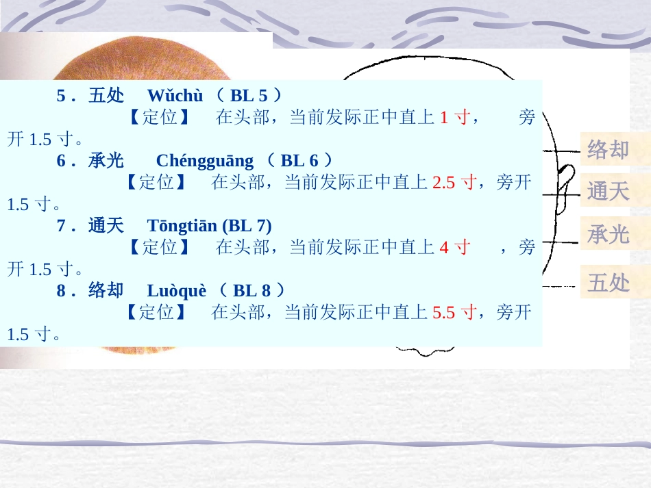 人体经络穴位图谱7膀胱经_第13页