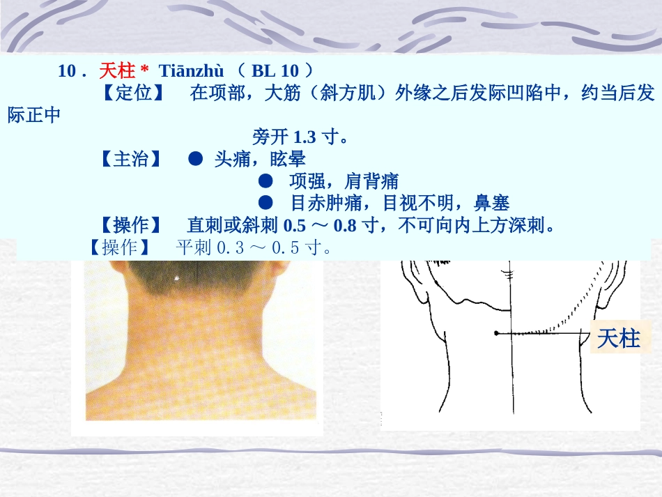 人体经络穴位图谱7膀胱经_第14页