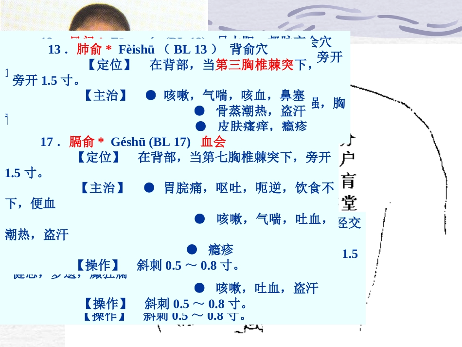 人体经络穴位图谱7膀胱经_第15页