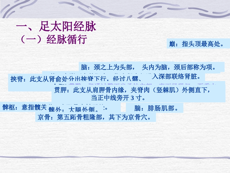 人体经络穴位图谱7膀胱经_第3页