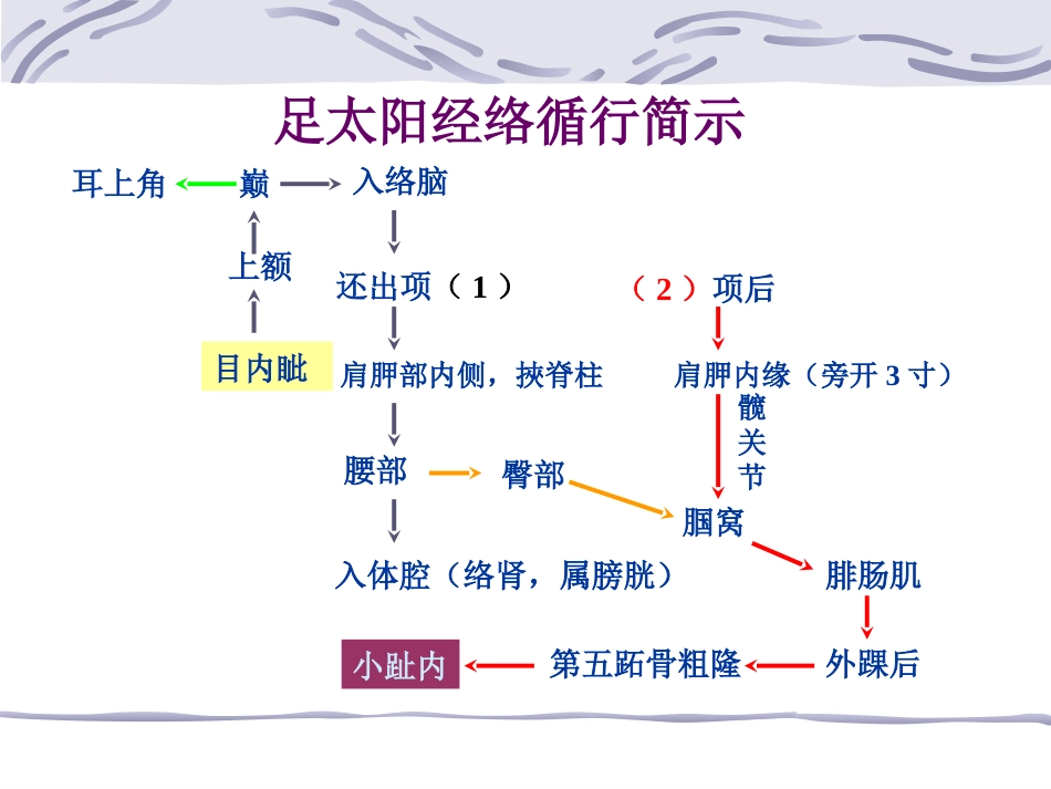 人体经络穴位图谱7膀胱经_第4页