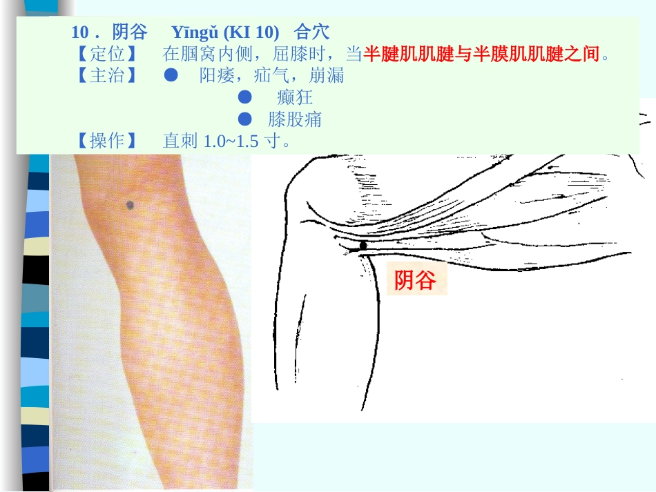 人体经络穴位图谱8肾经_第10页