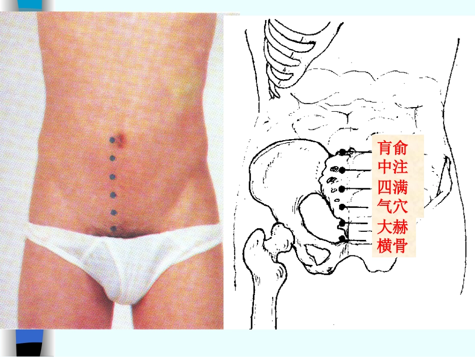 人体经络穴位图谱8肾经_第11页