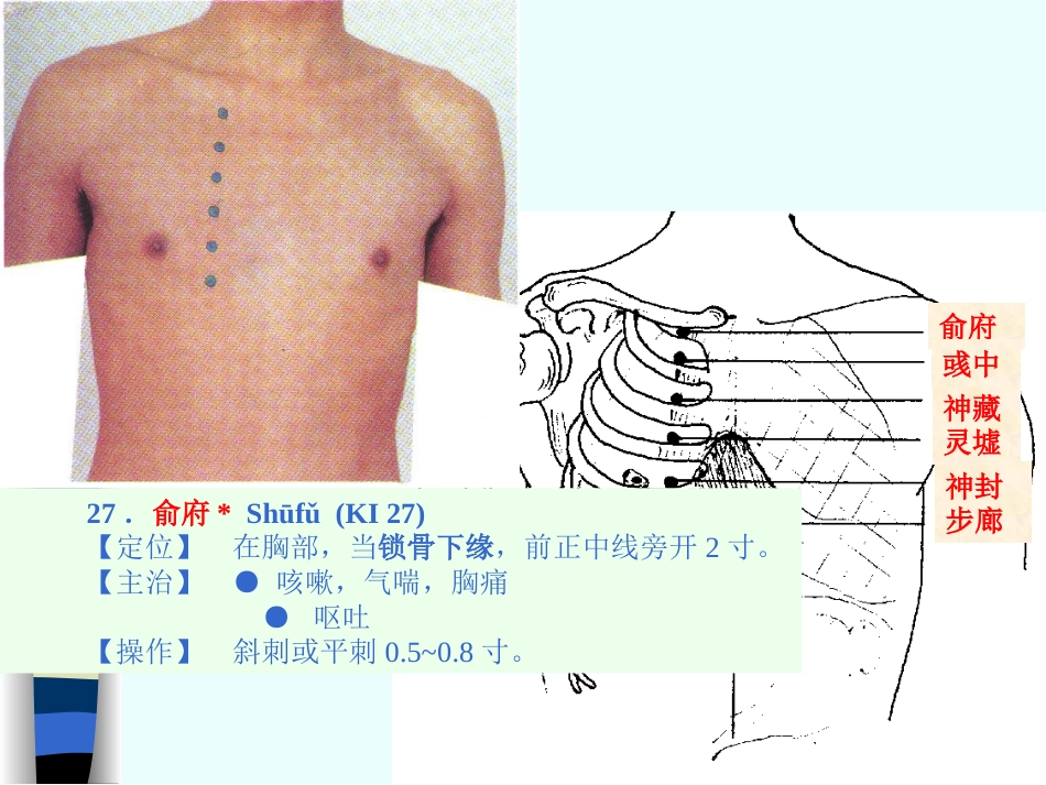 人体经络穴位图谱8肾经_第13页
