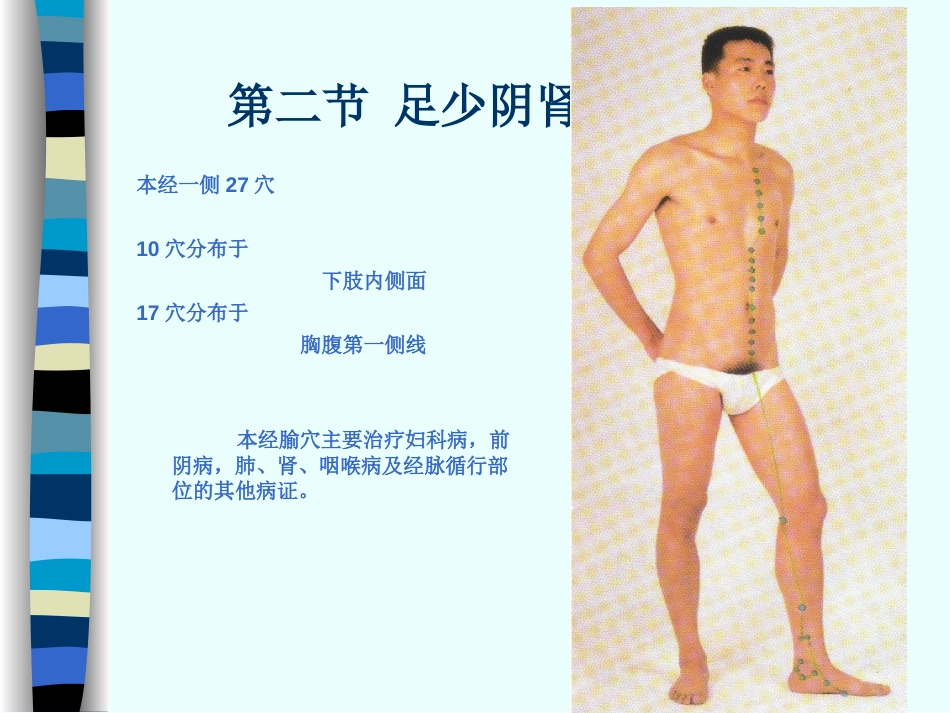 人体经络穴位图谱8肾经_第6页