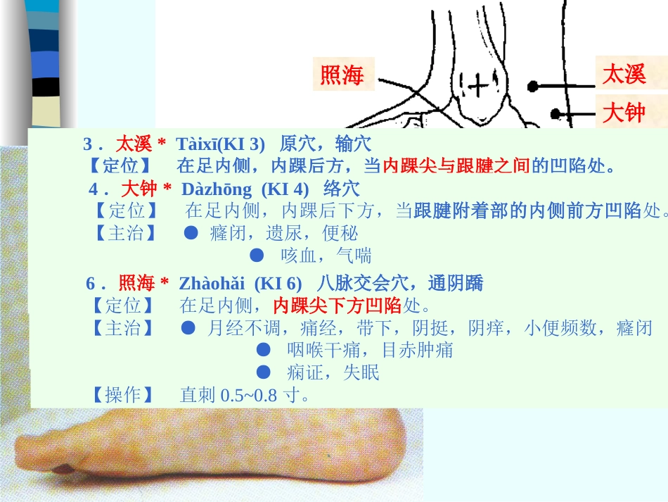 人体经络穴位图谱8肾经_第8页