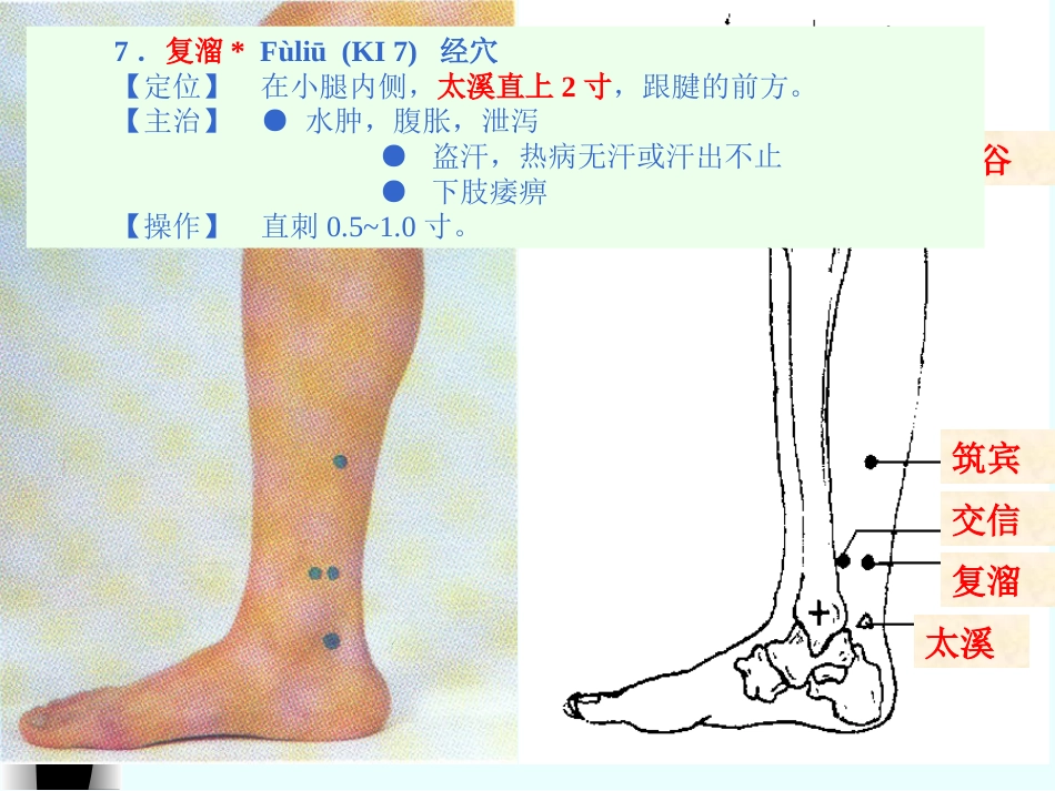 人体经络穴位图谱8肾经_第9页