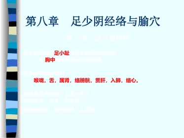 人体经络穴位图谱8肾经