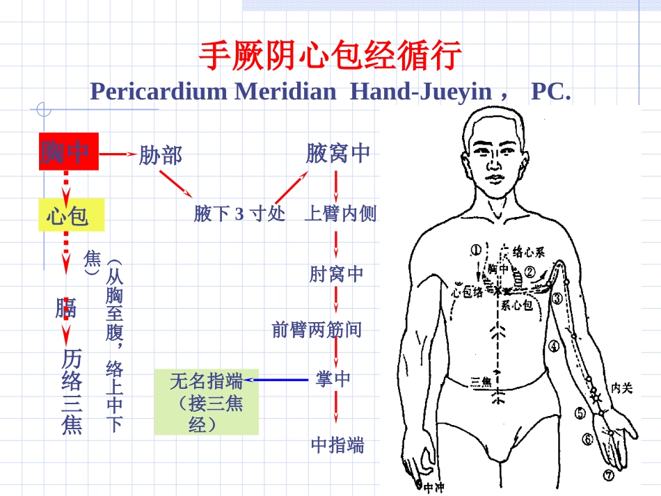 人体经络穴位图谱9心包经_第2页