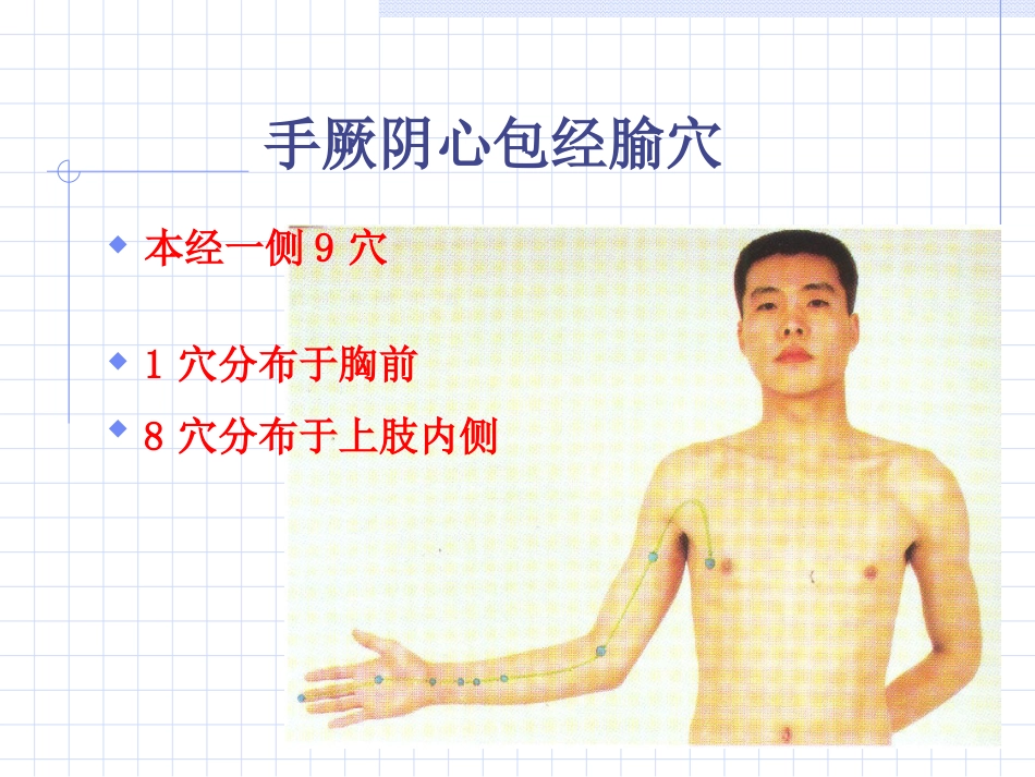 人体经络穴位图谱9心包经_第5页