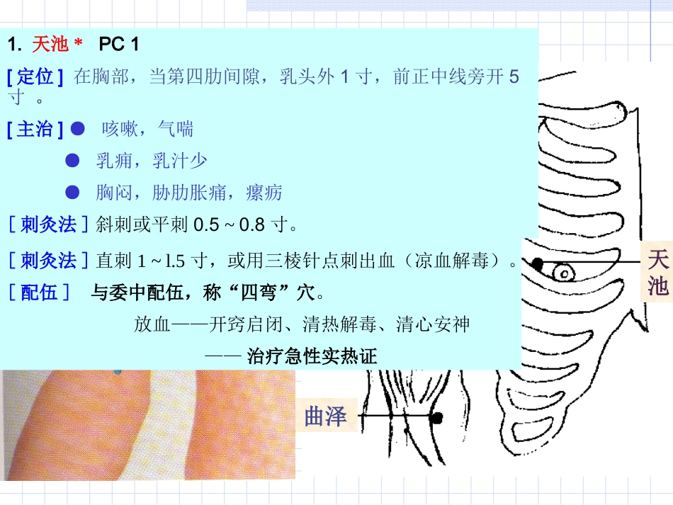 人体经络穴位图谱9心包经_第6页