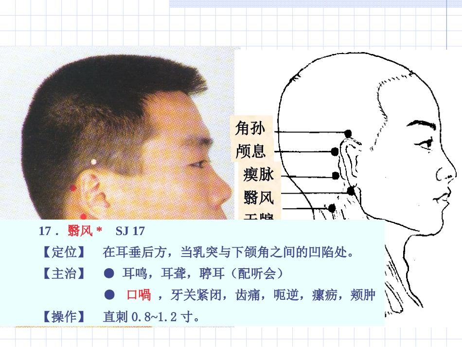 人体经络穴位图谱10三焦经_第12页