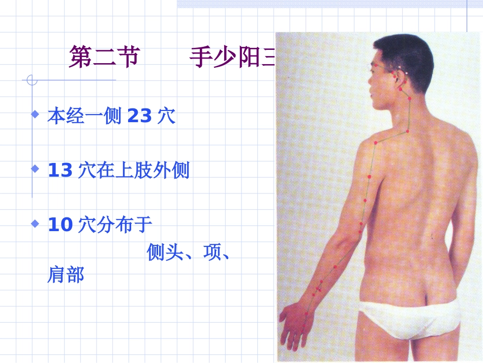 人体经络穴位图谱10三焦经_第5页