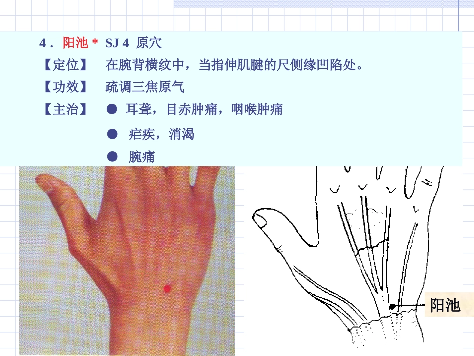 人体经络穴位图谱10三焦经_第7页