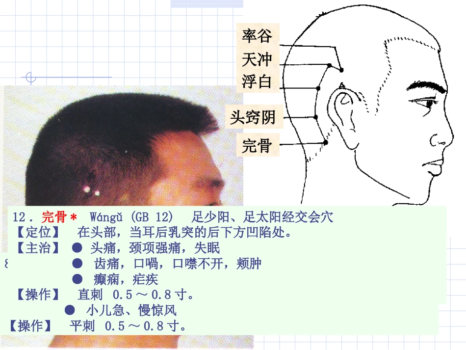 人体经络穴位图谱11胆经_第10页