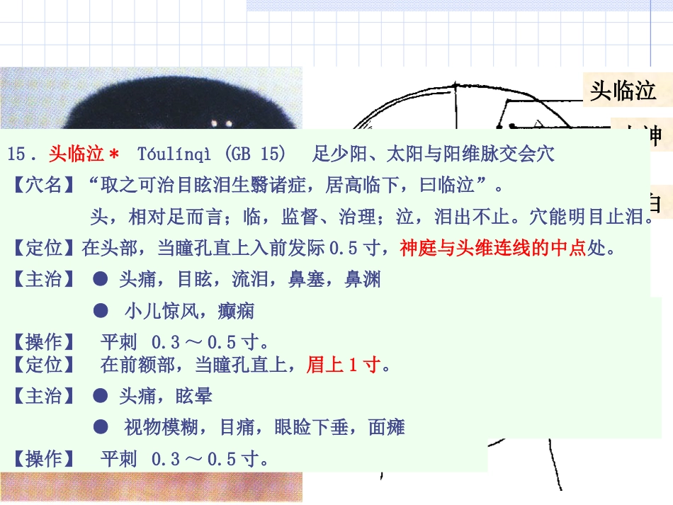 人体经络穴位图谱11胆经_第11页