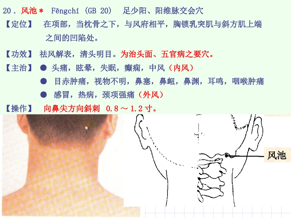 人体经络穴位图谱11胆经_第13页