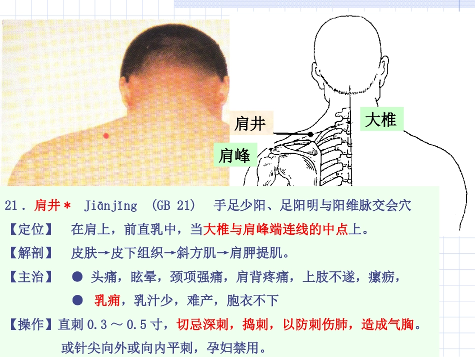 人体经络穴位图谱11胆经_第14页