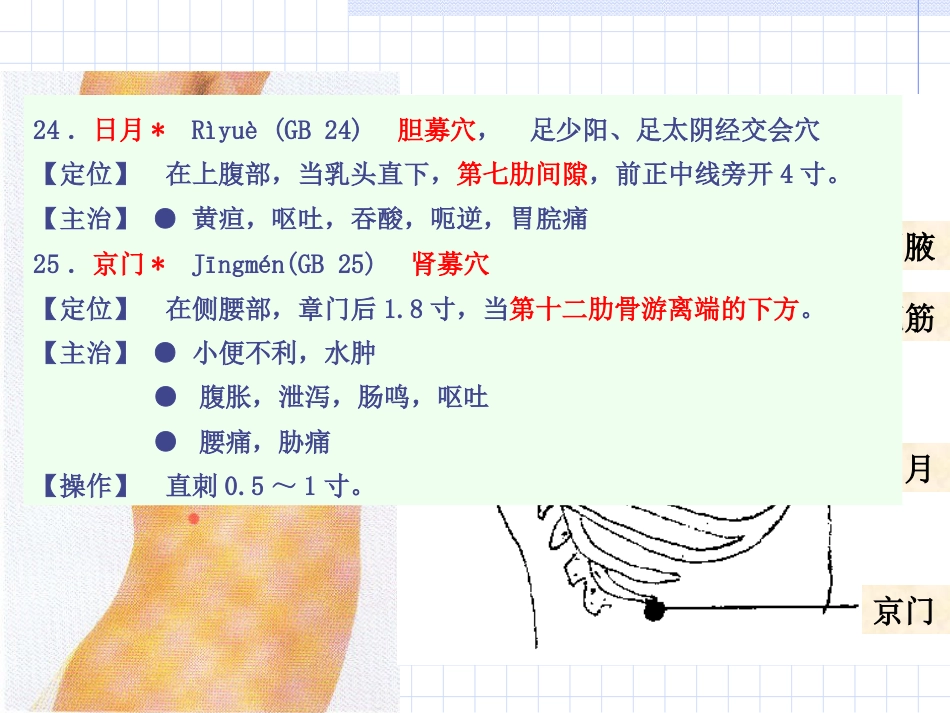 人体经络穴位图谱11胆经_第15页