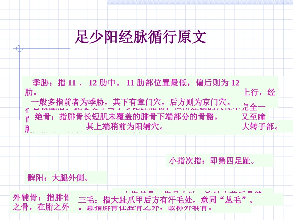 人体经络穴位图谱11胆经_第2页