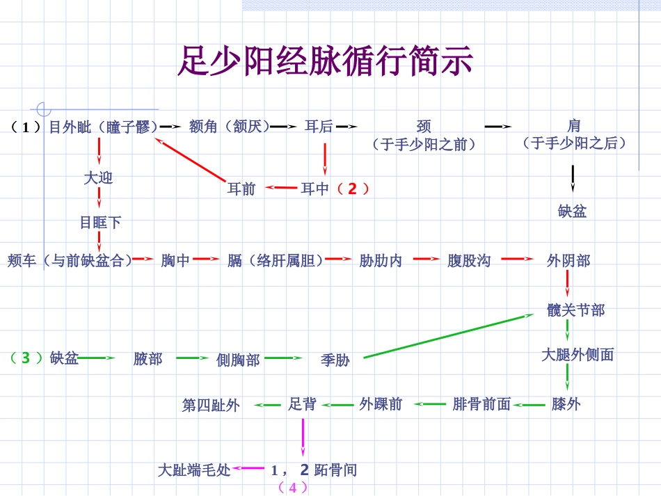 人体经络穴位图谱11胆经_第3页