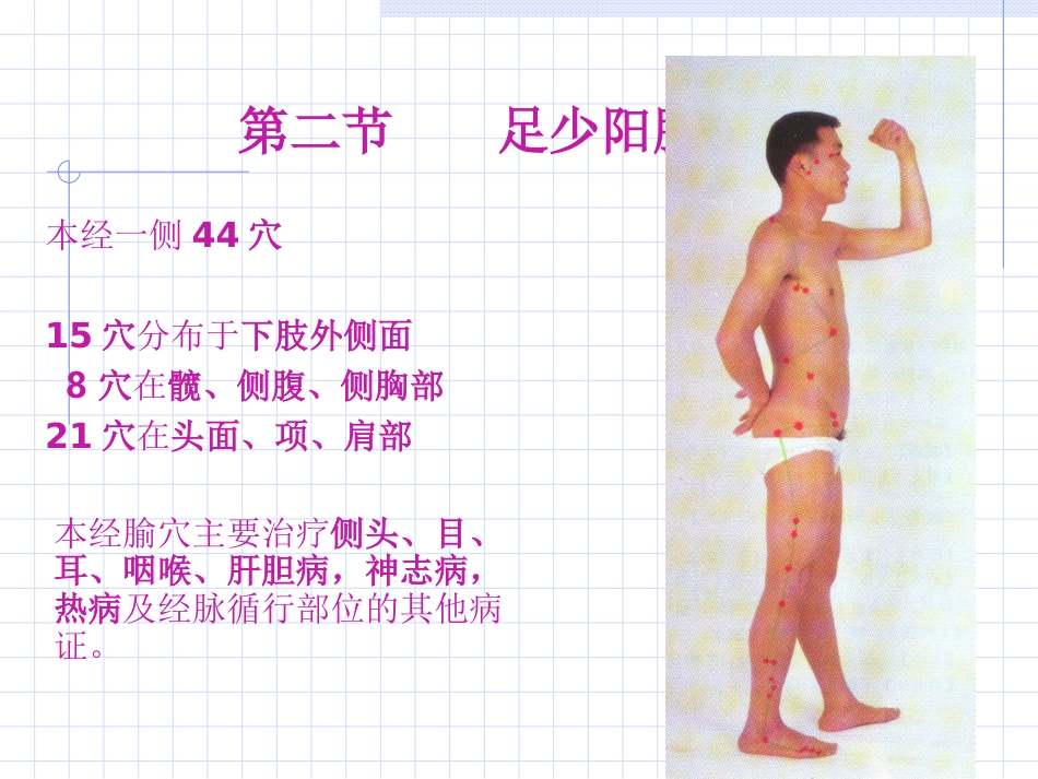 人体经络穴位图谱11胆经_第7页