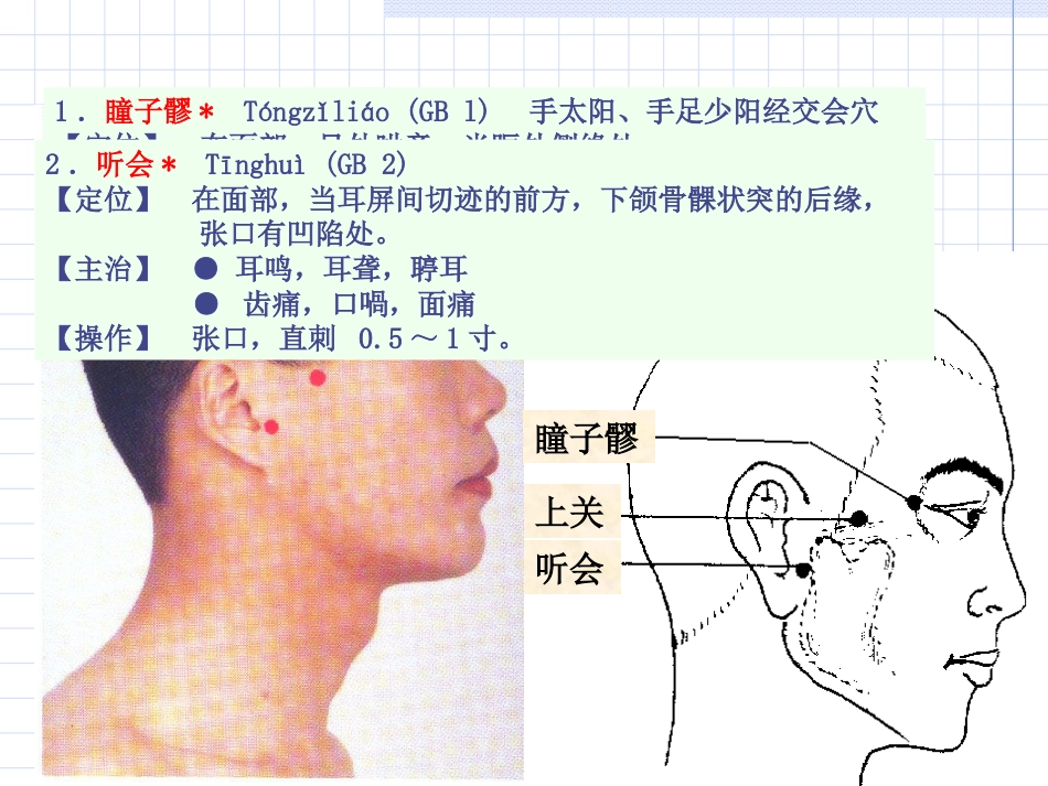 人体经络穴位图谱11胆经_第8页