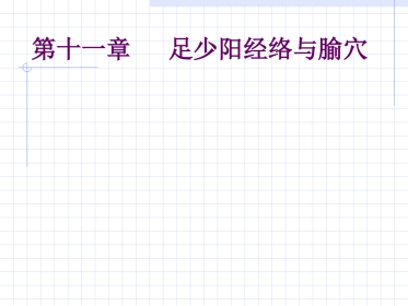 人体经络穴位图谱11胆经