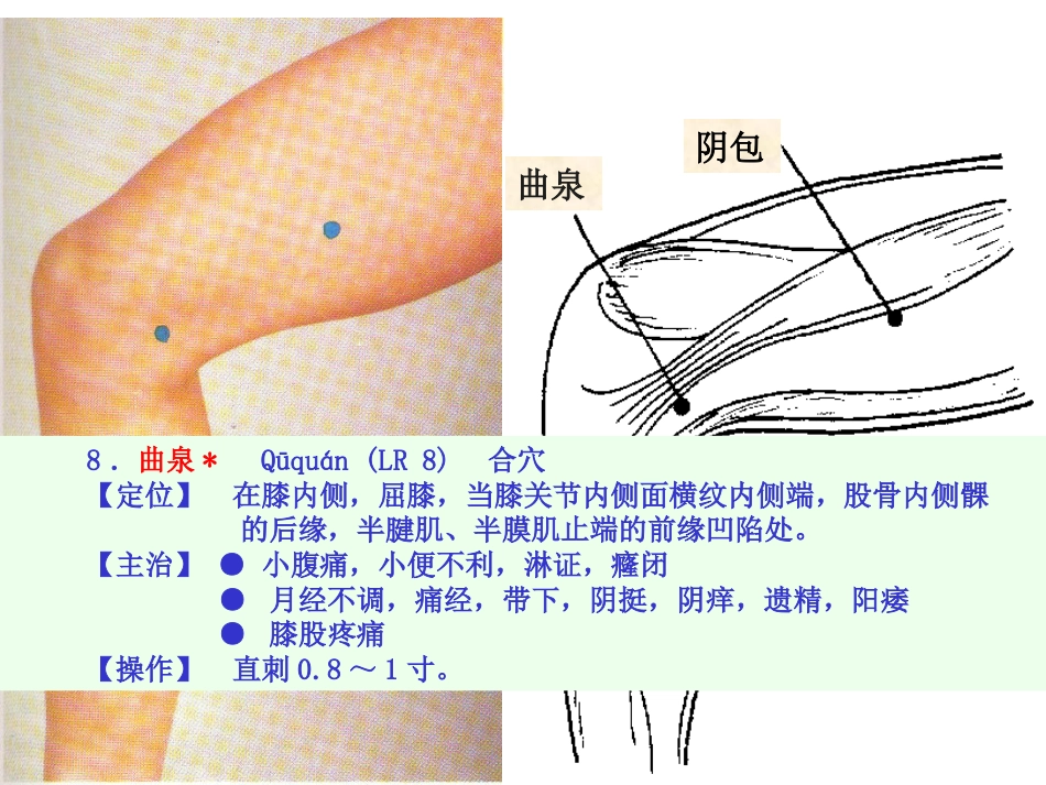 人体经络穴位图谱12肝经_第10页