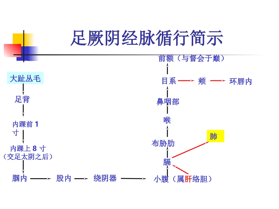 人体经络穴位图谱12肝经_第3页