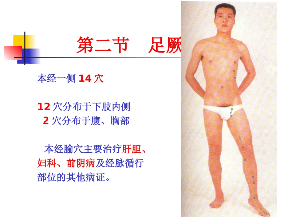 人体经络穴位图谱12肝经_第6页