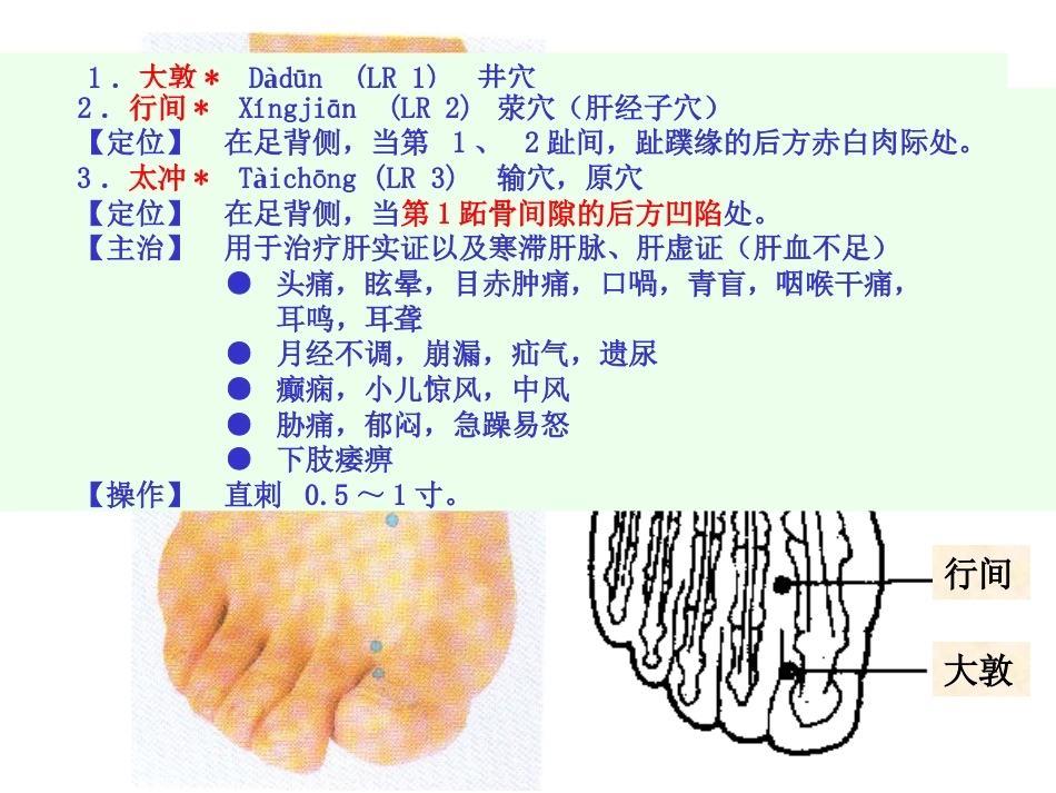 人体经络穴位图谱12肝经_第7页