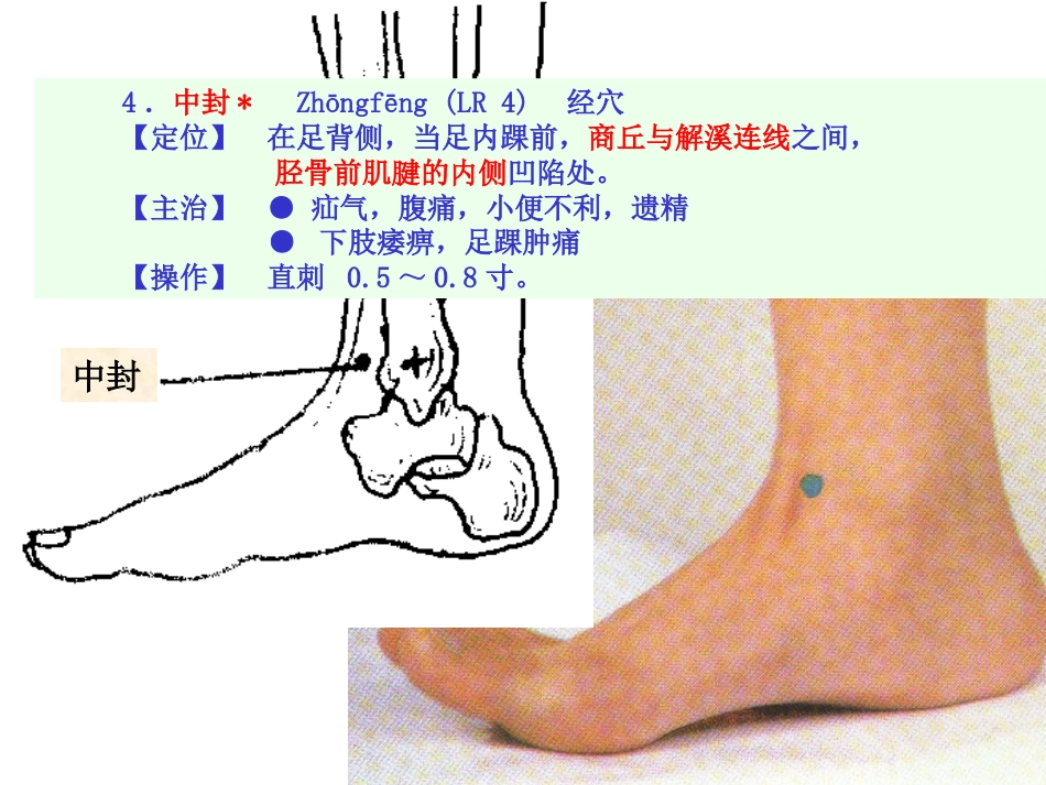 人体经络穴位图谱12肝经_第8页