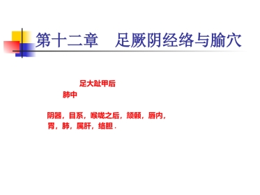 人体经络穴位图谱12肝经