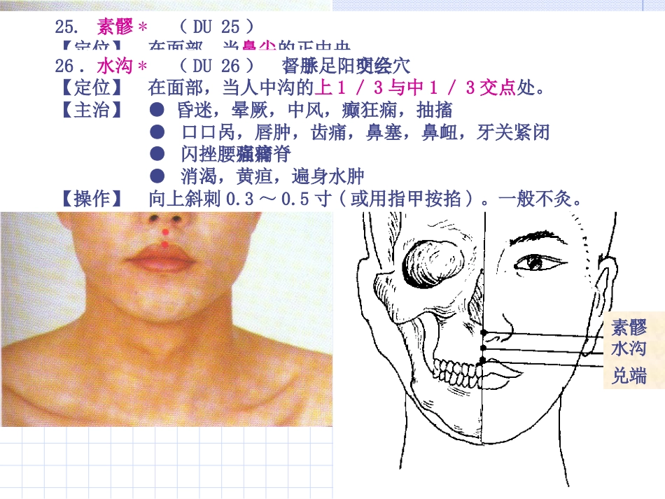 人体经络穴位图谱13督脉_第15页