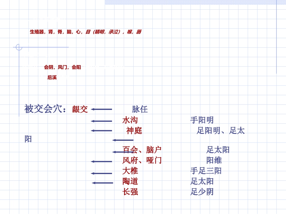 人体经络穴位图谱13督脉_第5页