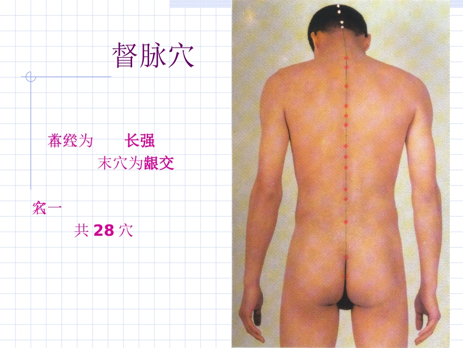 人体经络穴位图谱13督脉_第7页