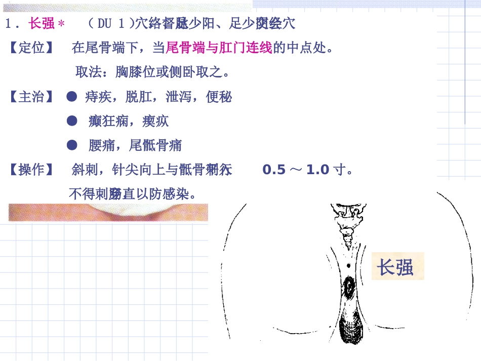 人体经络穴位图谱13督脉_第9页