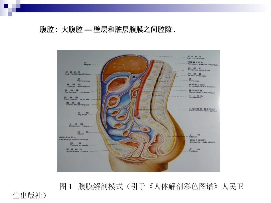 普外科-急性化脓性腹膜炎_第3页