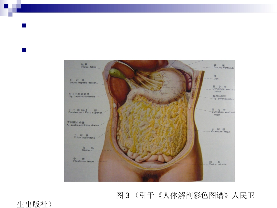 普外科-急性化脓性腹膜炎_第5页