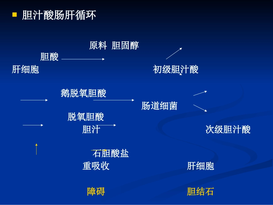 外科--胆道疾病_第10页